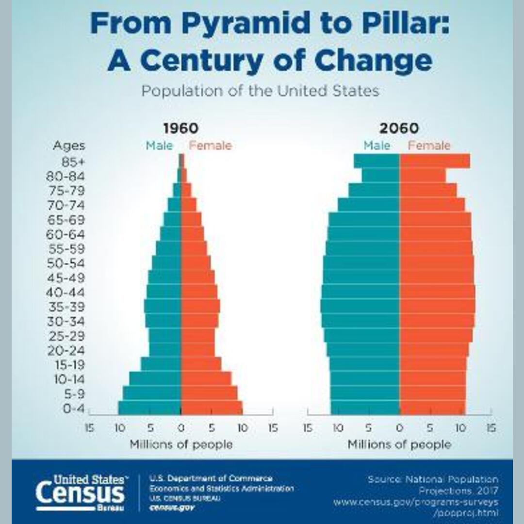 From Pyramid to Pillar: A Century of US Population Change