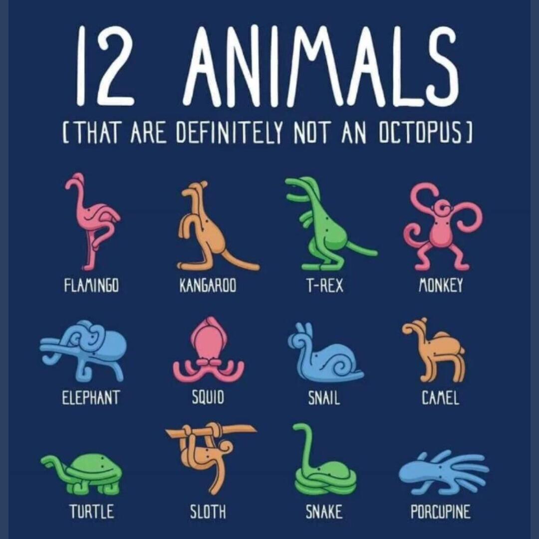 Not an Octopus guide