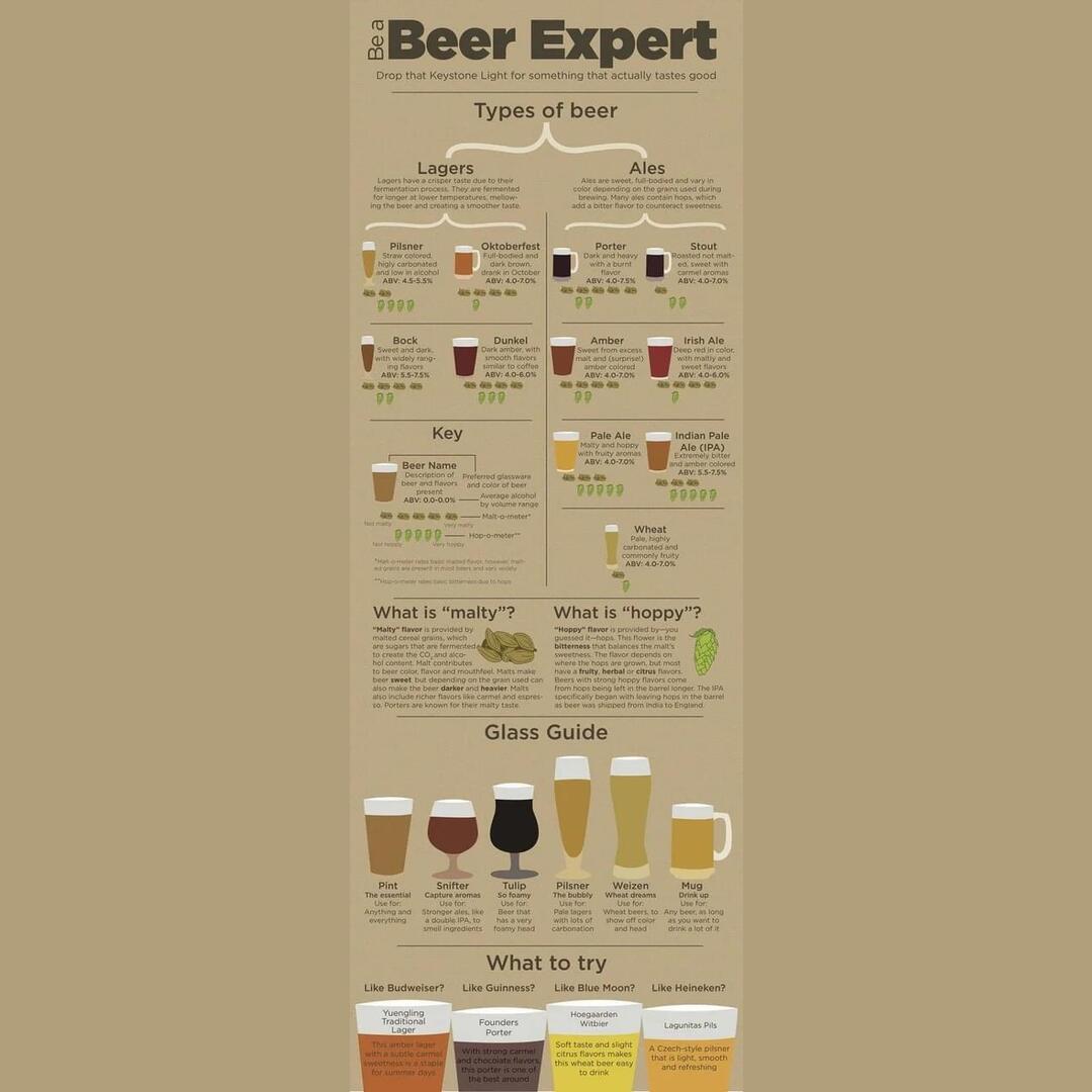 Beer guide