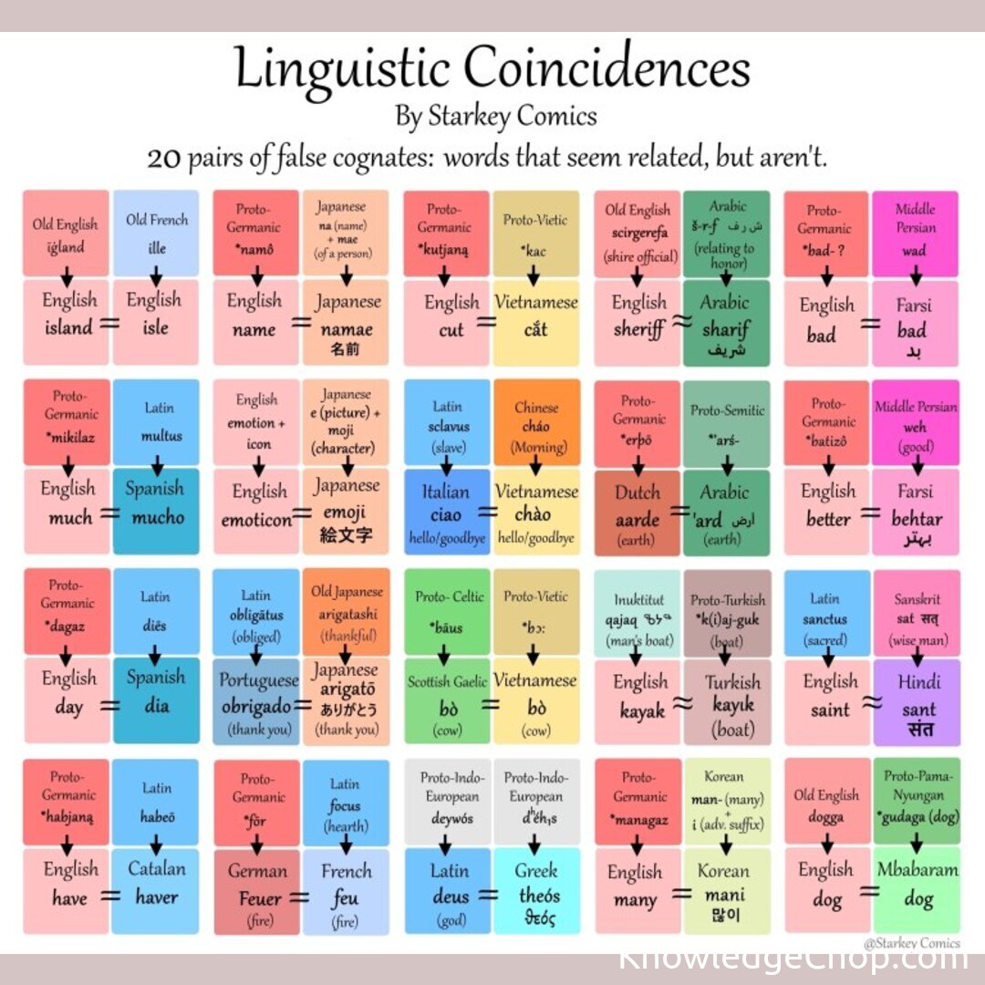 language-coincidences-knowledge-ninja