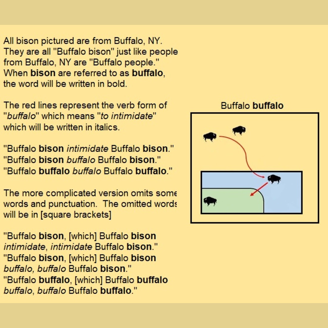 Alternative Buffalo explanation