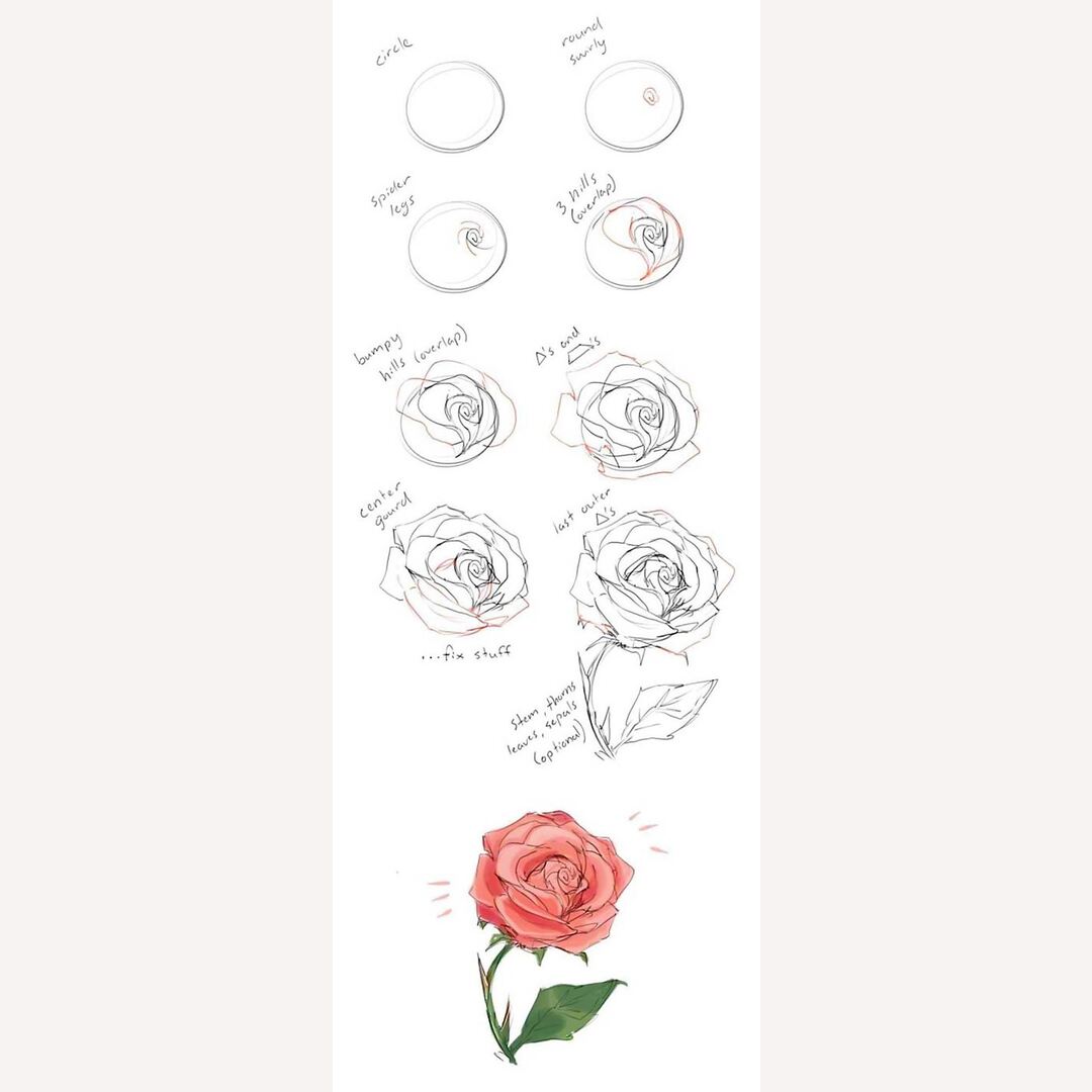 How to draw a rose