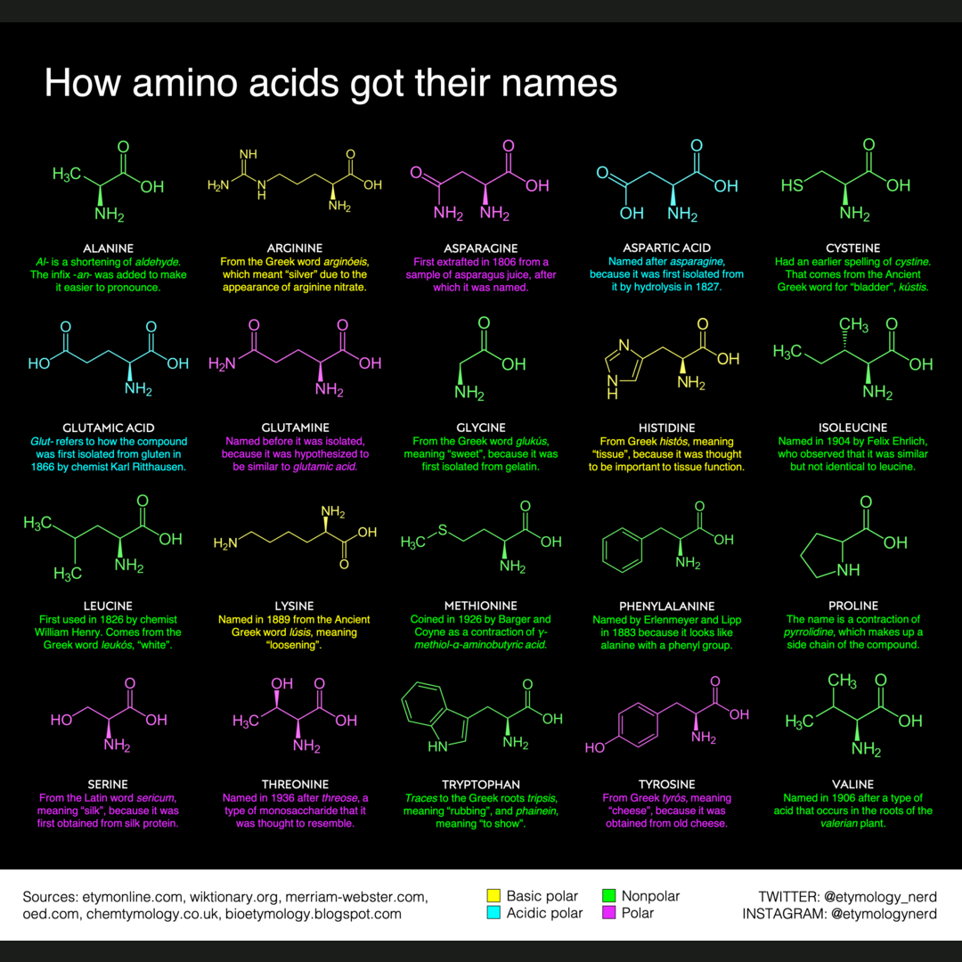 I made a guide explaining how different amino acids got their names