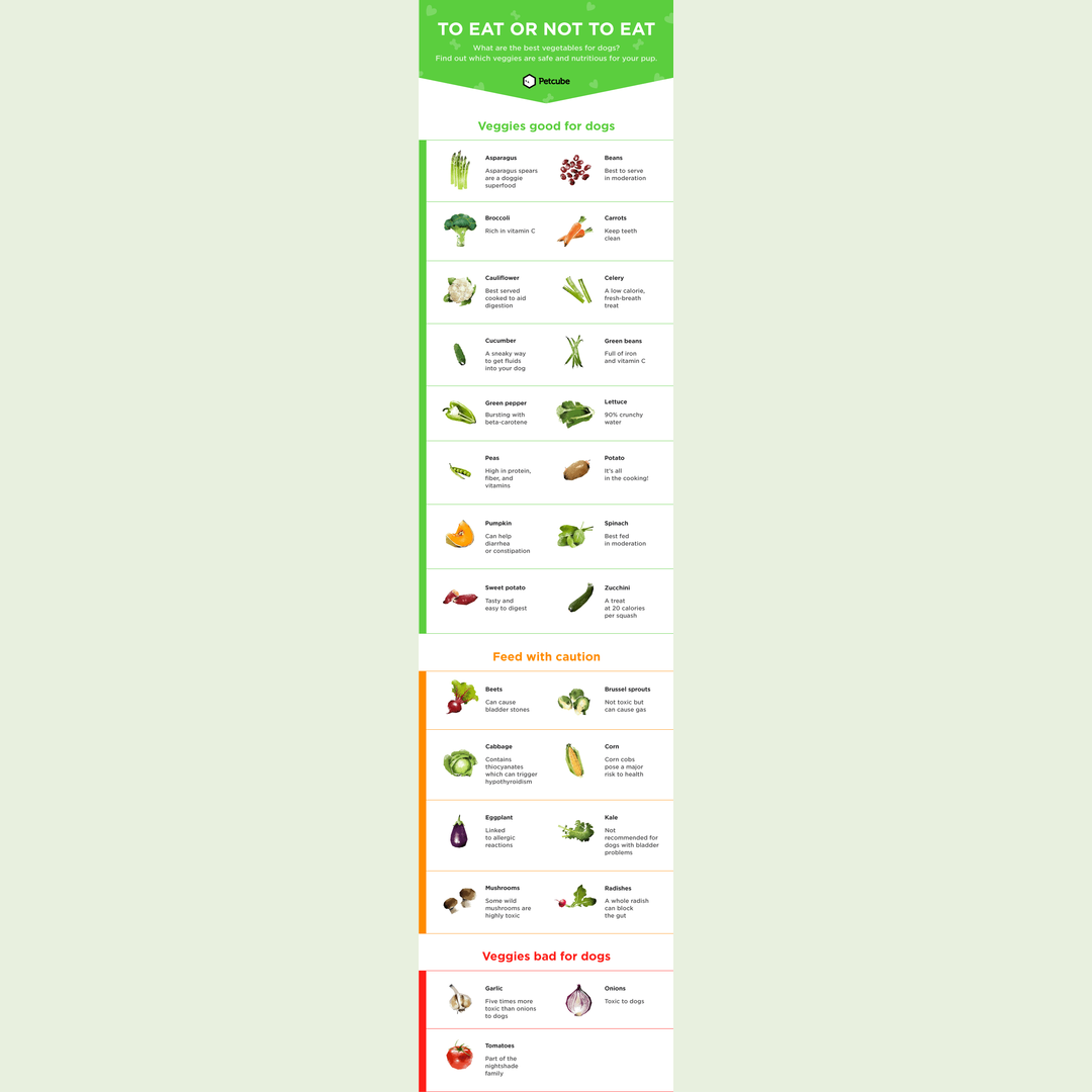 Canine Vegetable Nutrition Chart