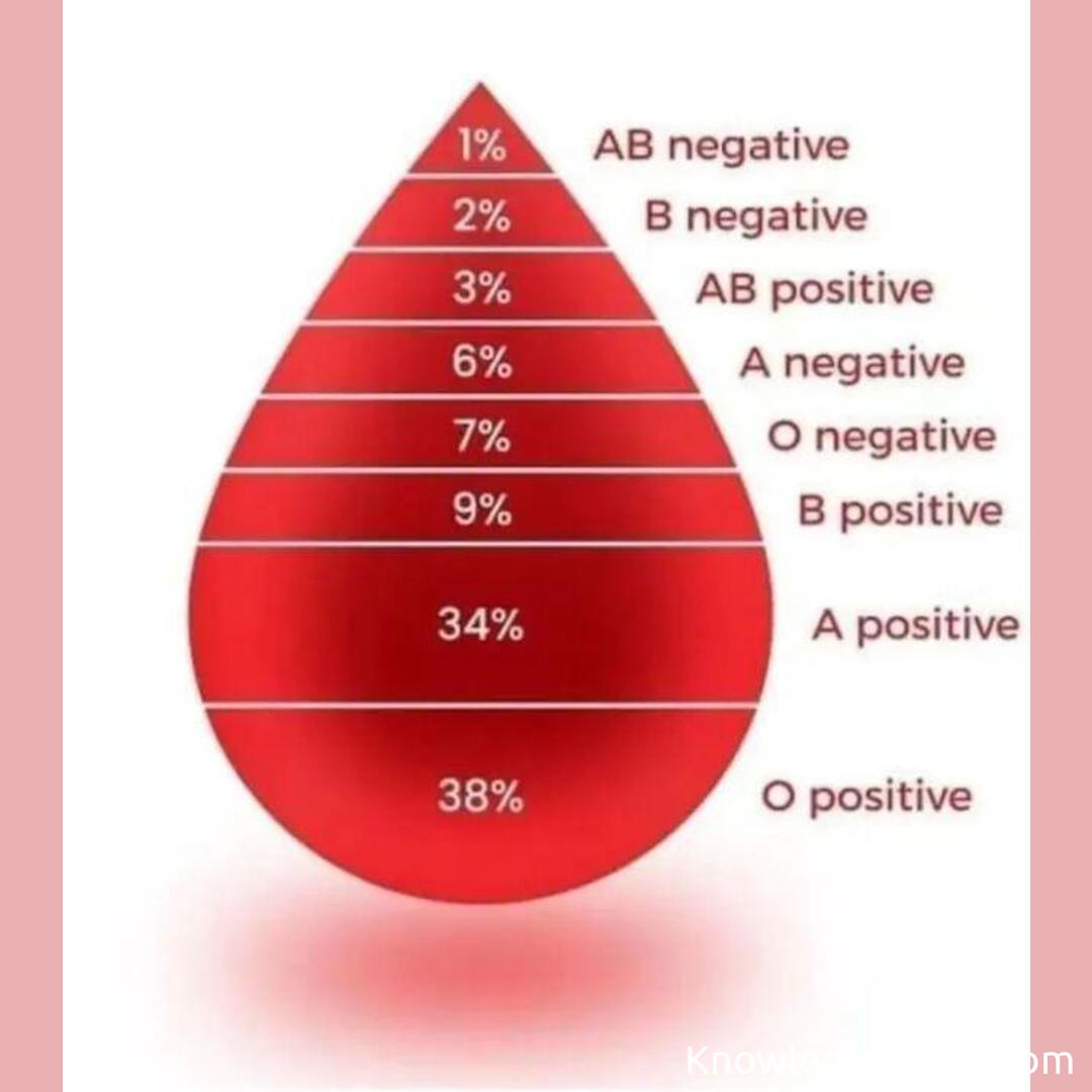 chart-2018-human-blood-types