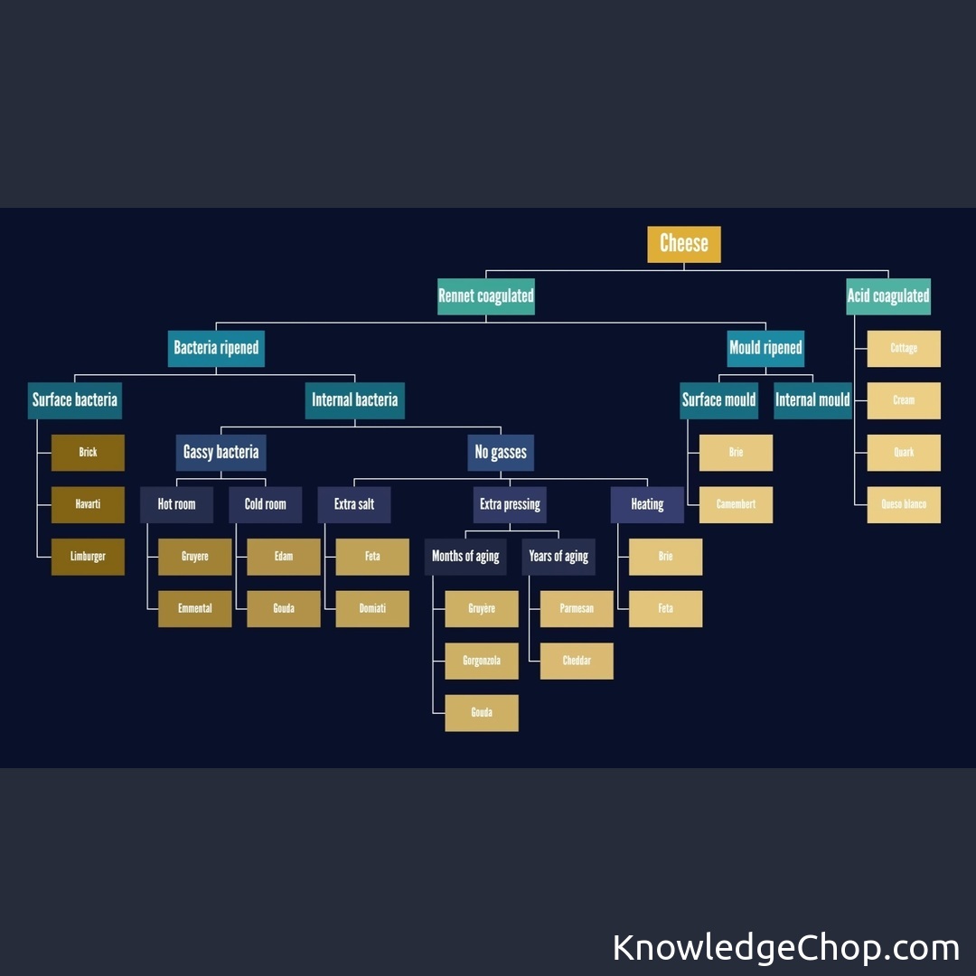 Processes Of Making Different Types Of Cheese 