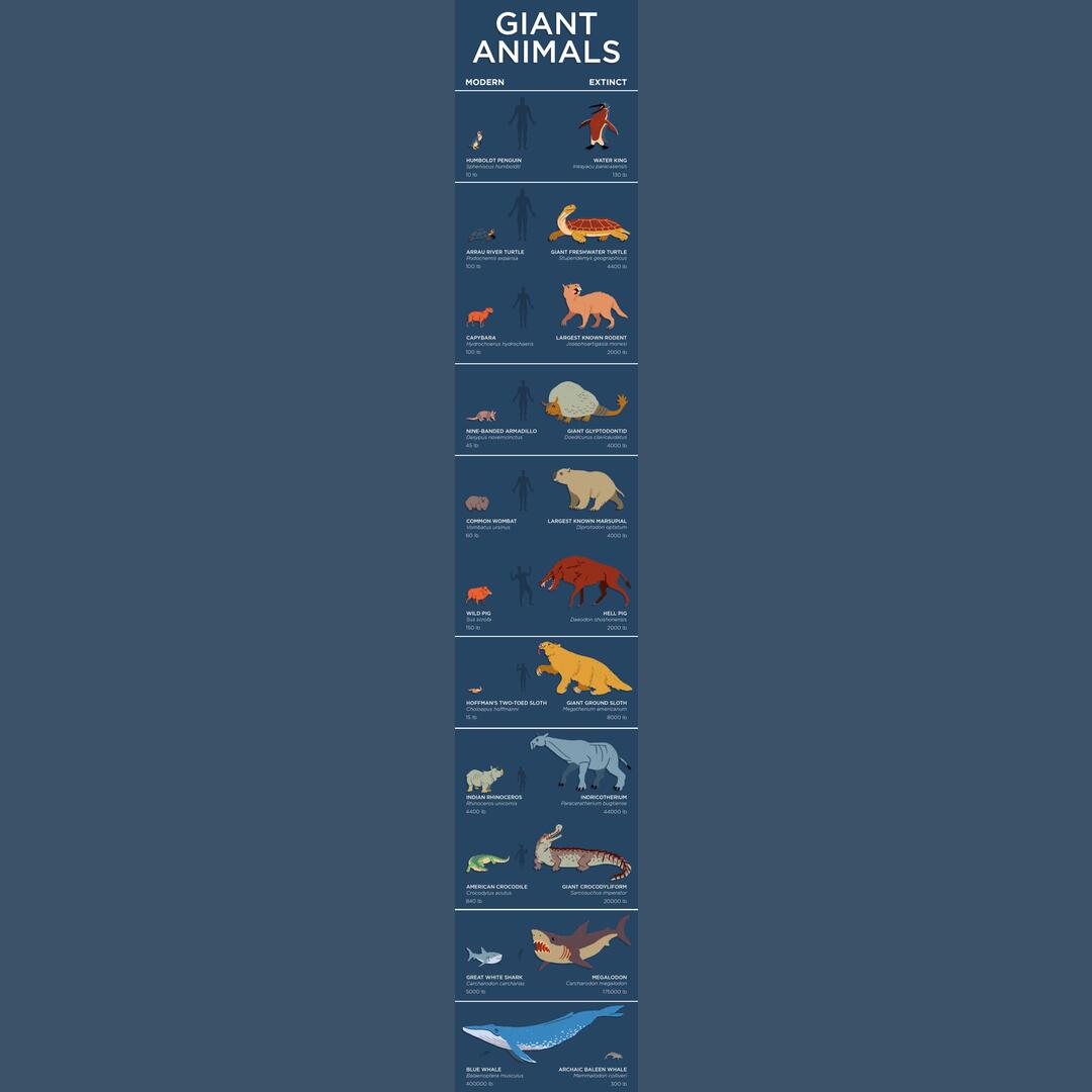 Modern day animals compared to some of the biggest of their kind