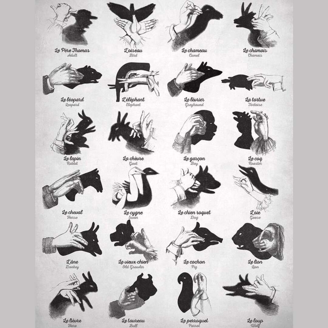 Shadow puppets! (I'm sorry if this is a repost)