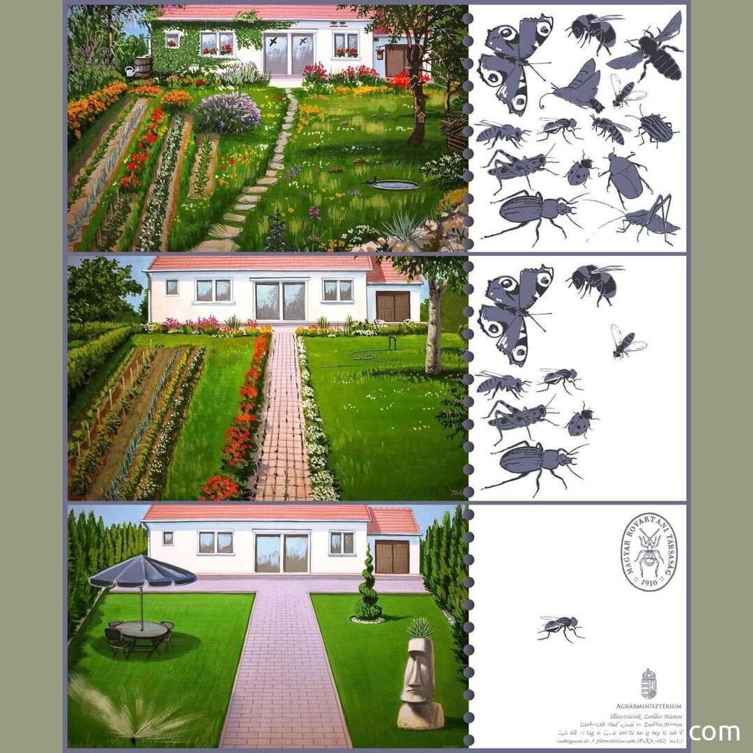 
sigma garden beauty, summer garden harmony, architectural garden design, art of landscaping.