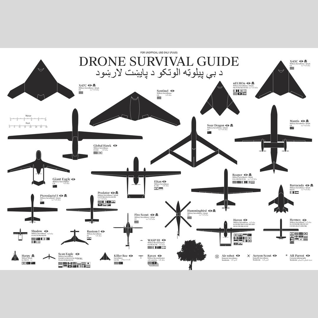 Drone Survival Guide