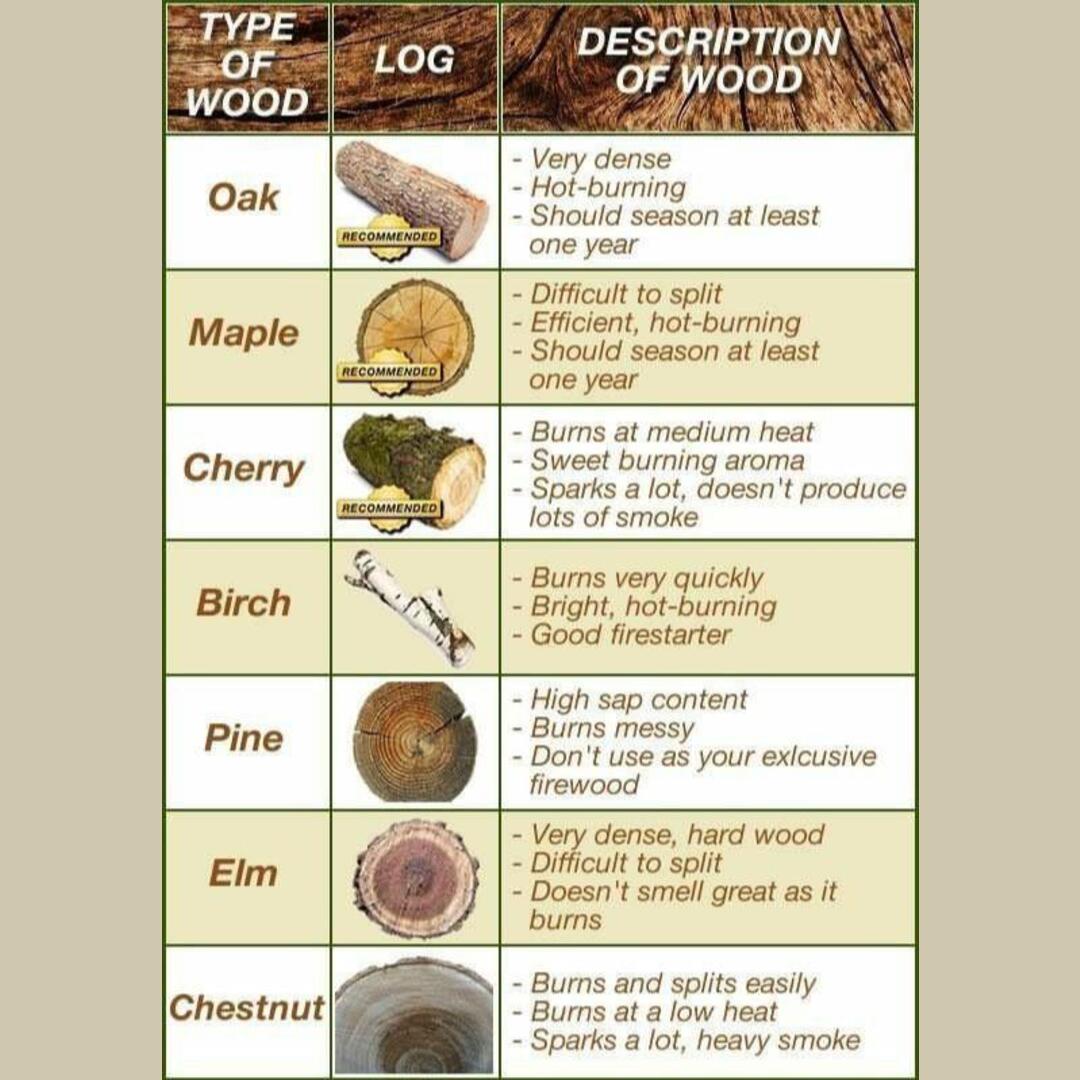 Guide about what types of wood to use for a campfire