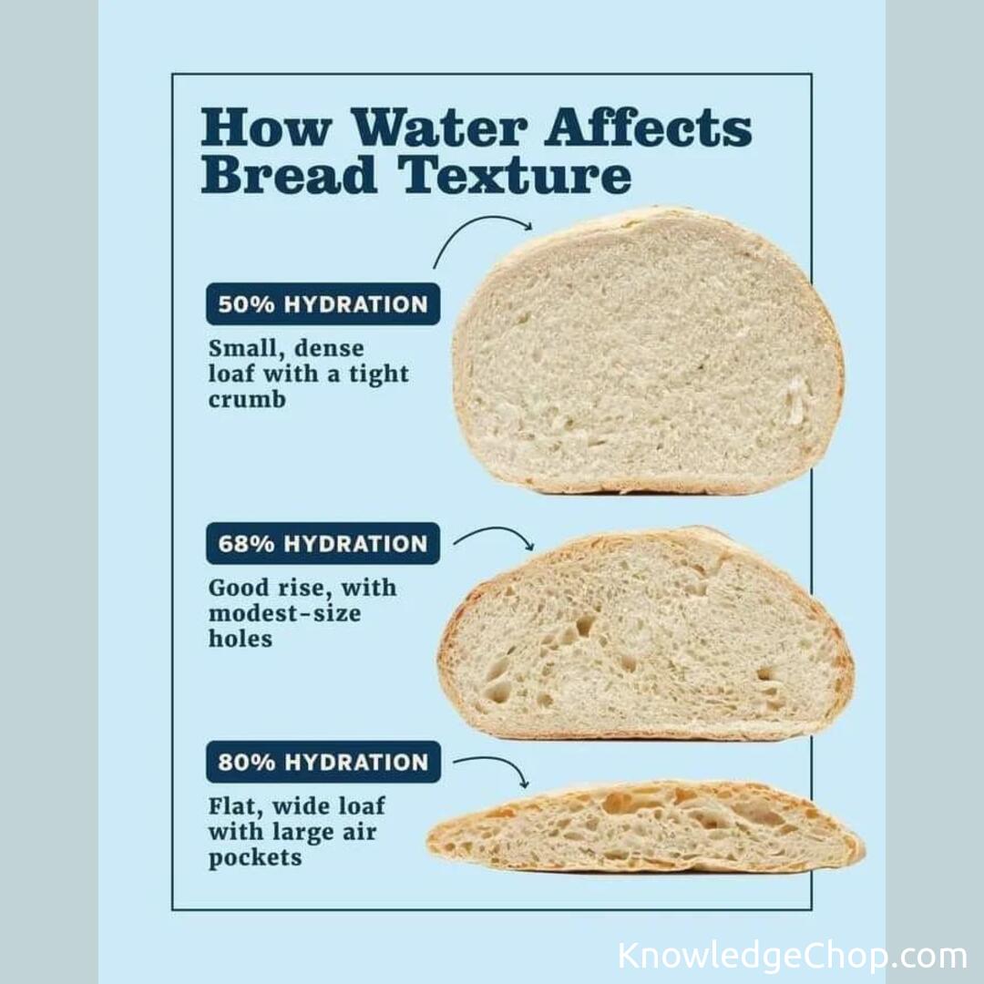 How water affects bread texture 🥷 Knowledge Ninja