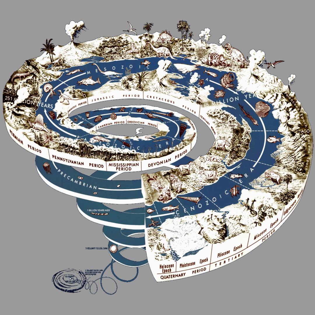 History of life on earth