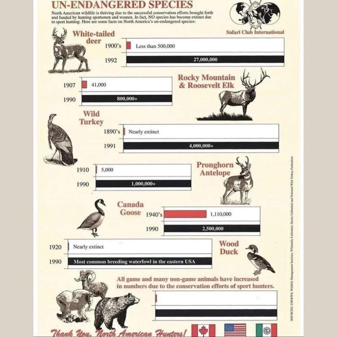 Species saved from extinction thanks to north american hunters