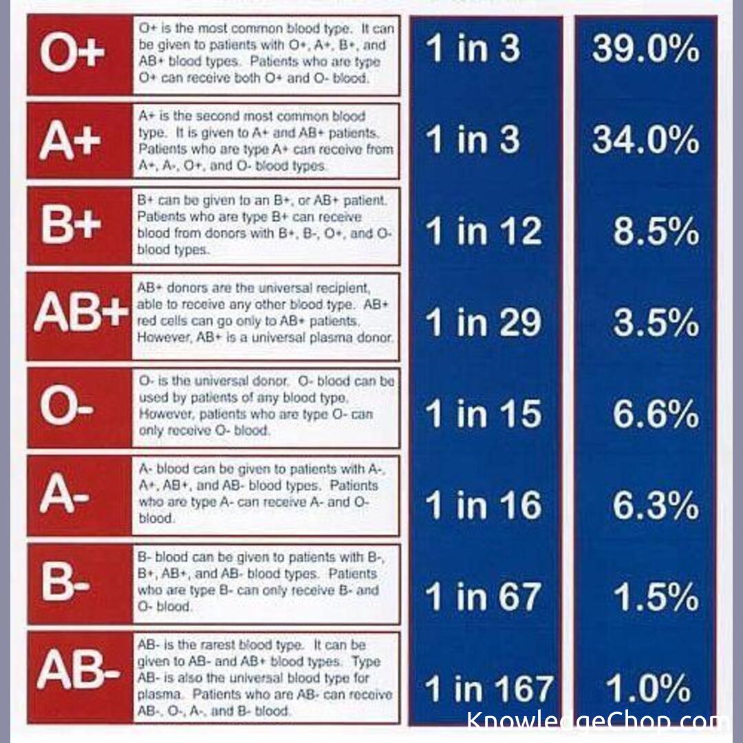 blood-types-knowledge-ninja