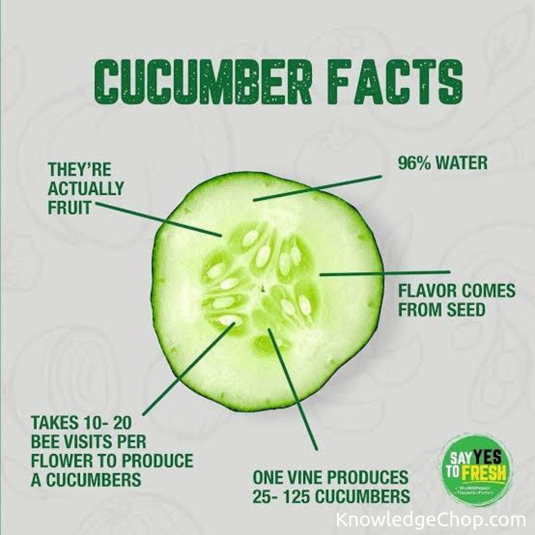 Cucumber: the botanical homie