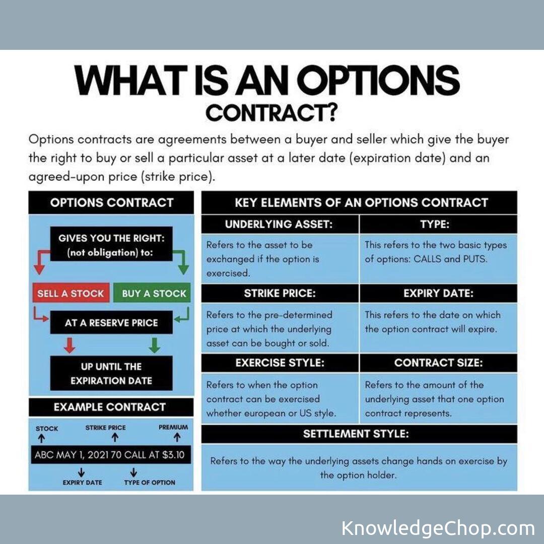Options Explained [Infographic]