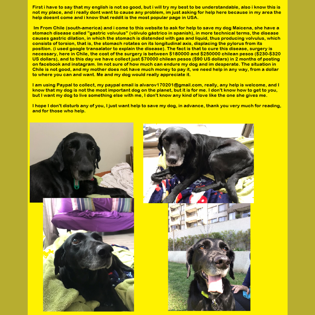 I need help to save my Dog from a disease