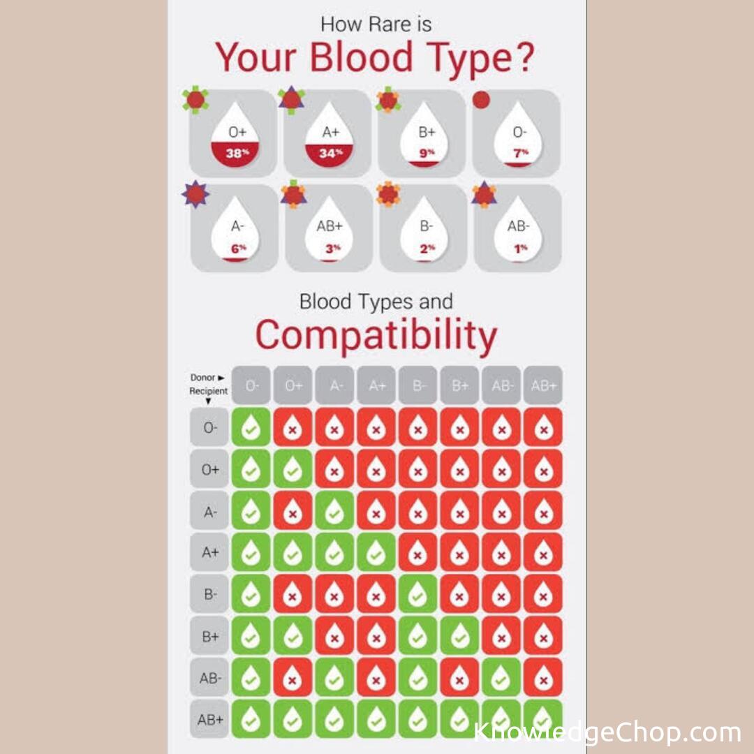 how-rare-is-your-blood-type-knowledge-ninja