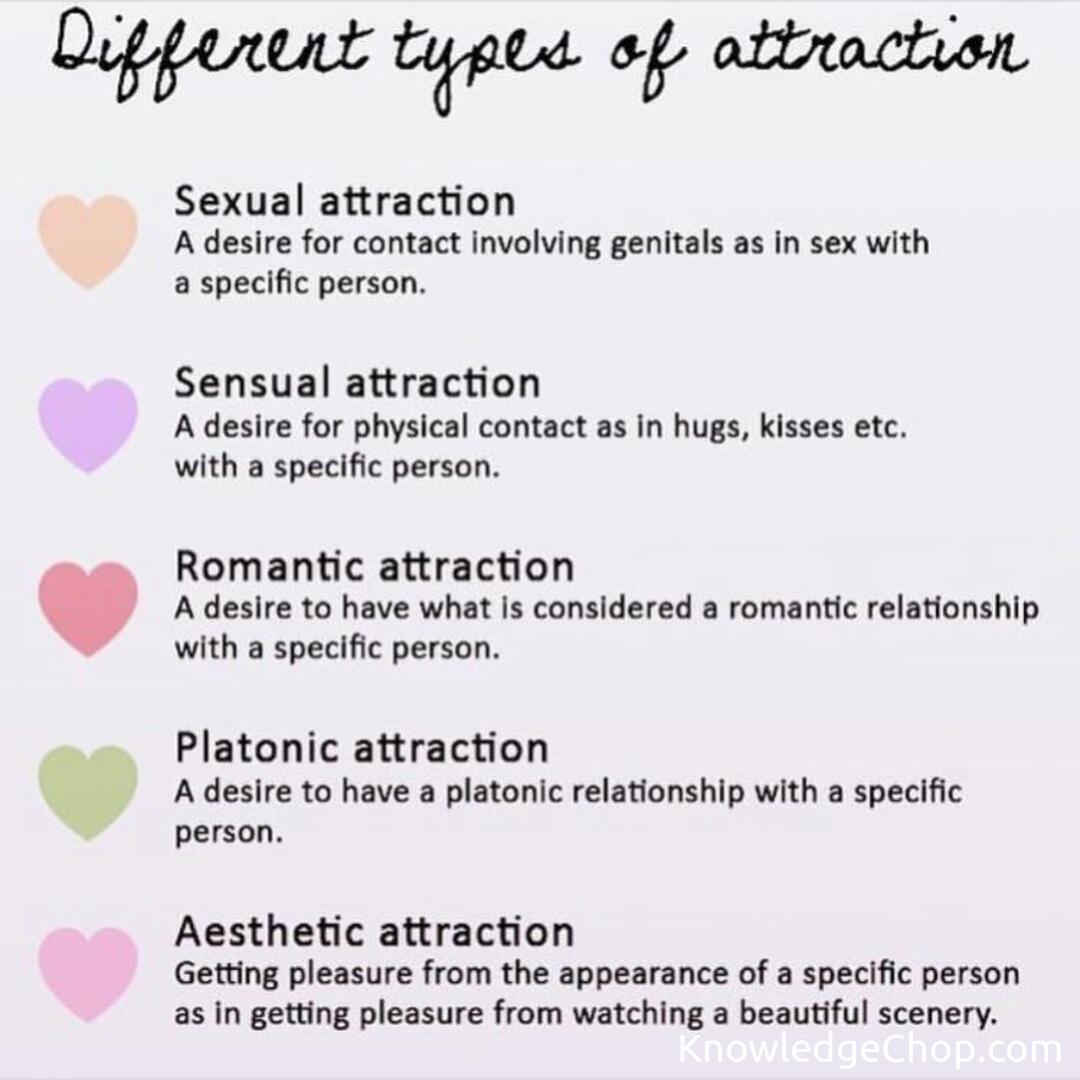 Different types of attraction