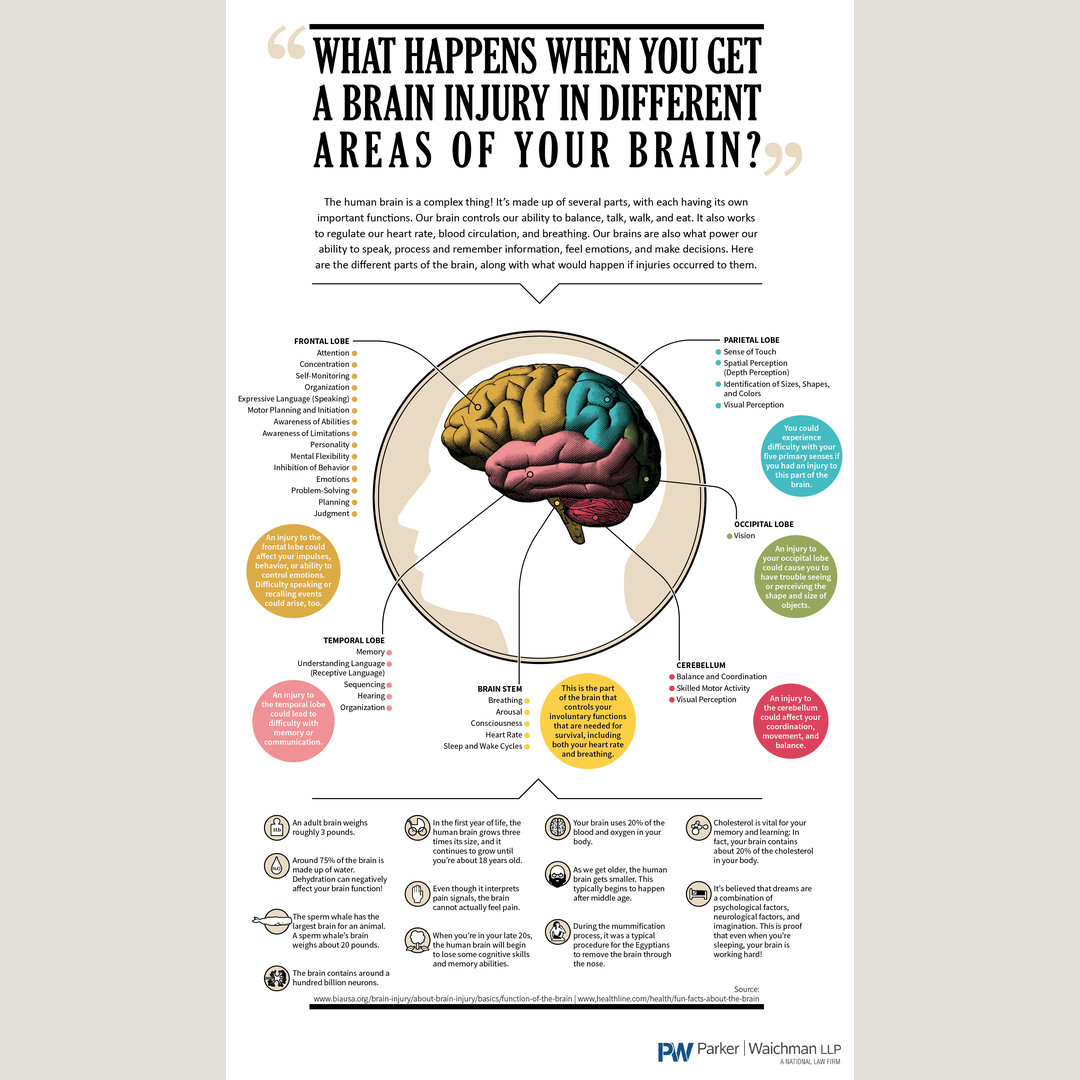 What happens when you get a brain injury in different areas of your brain.