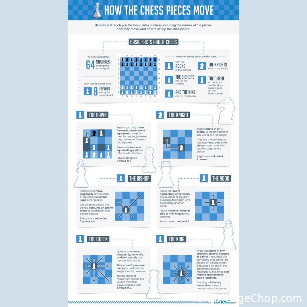 Neat chess guide