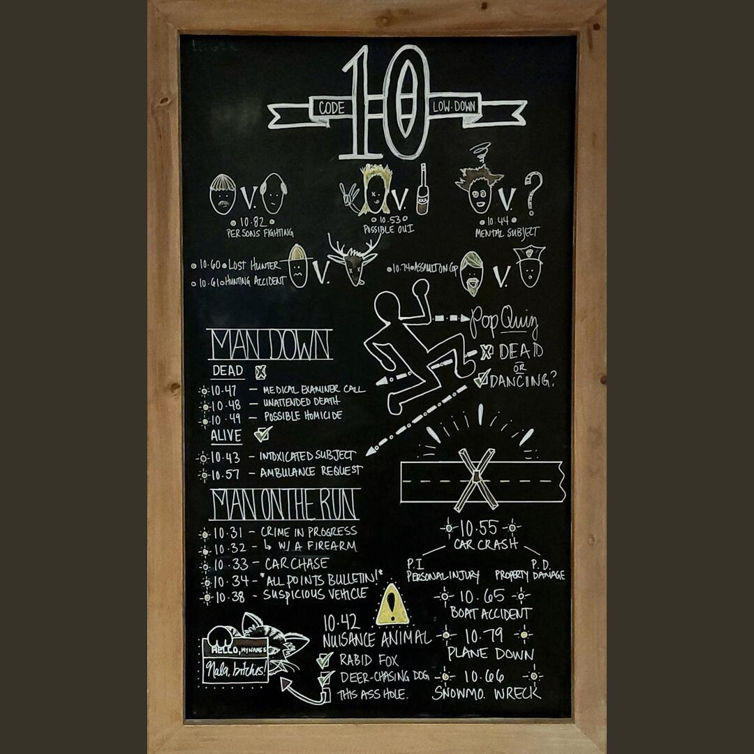 What police radio 10-codes mean-featuring my cat.