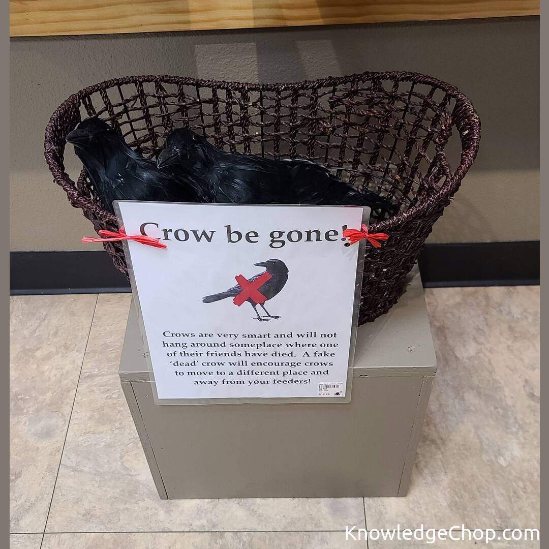 
How to lower the murder rate in your yard.