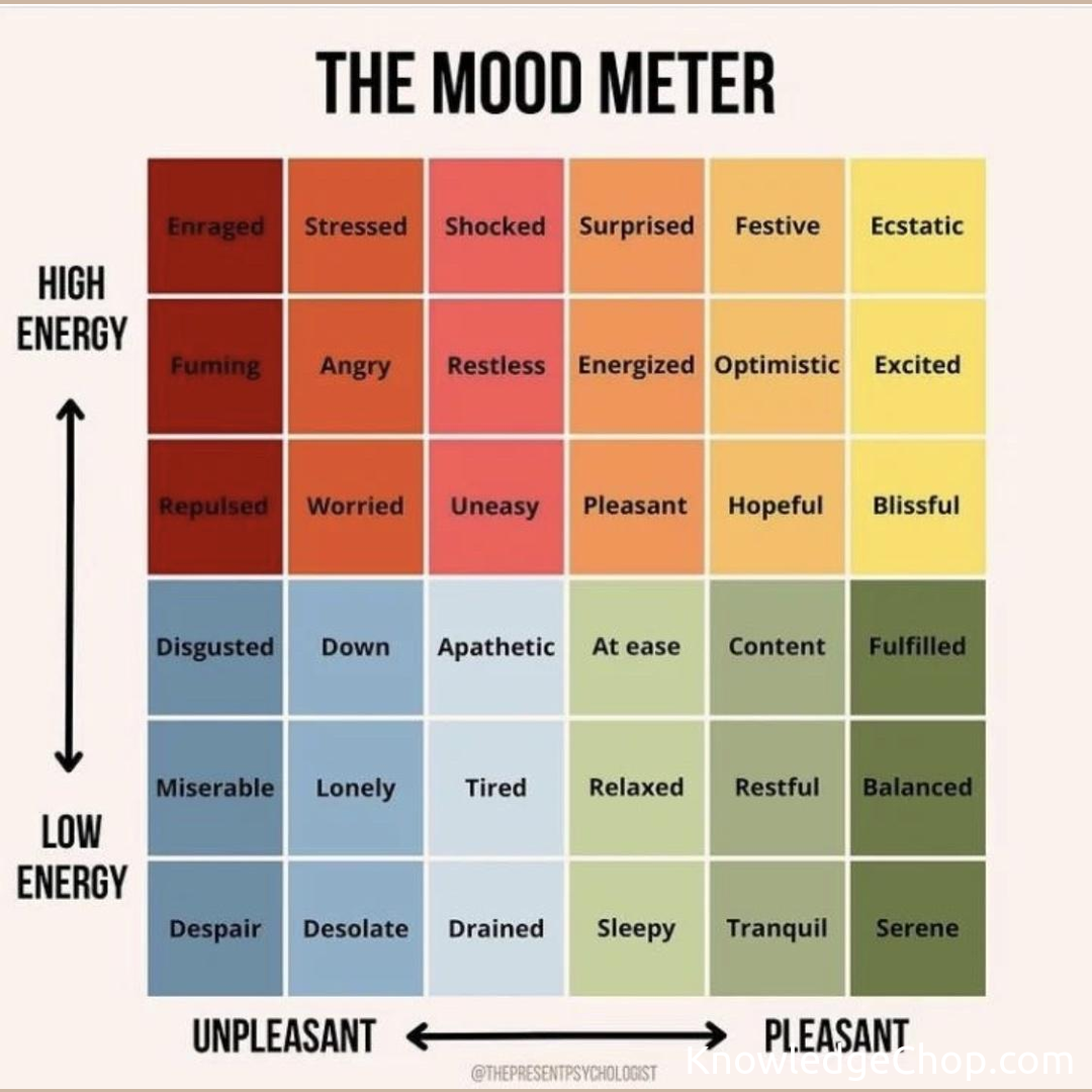 The mood meter | 🥷 Knowledge Ninja