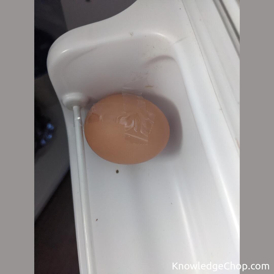 
Taped down an egg to stop it from rolling around in the fridge