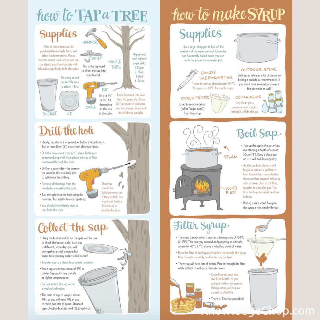 
Guide: How to Tap a Tree & How to Make Syrup