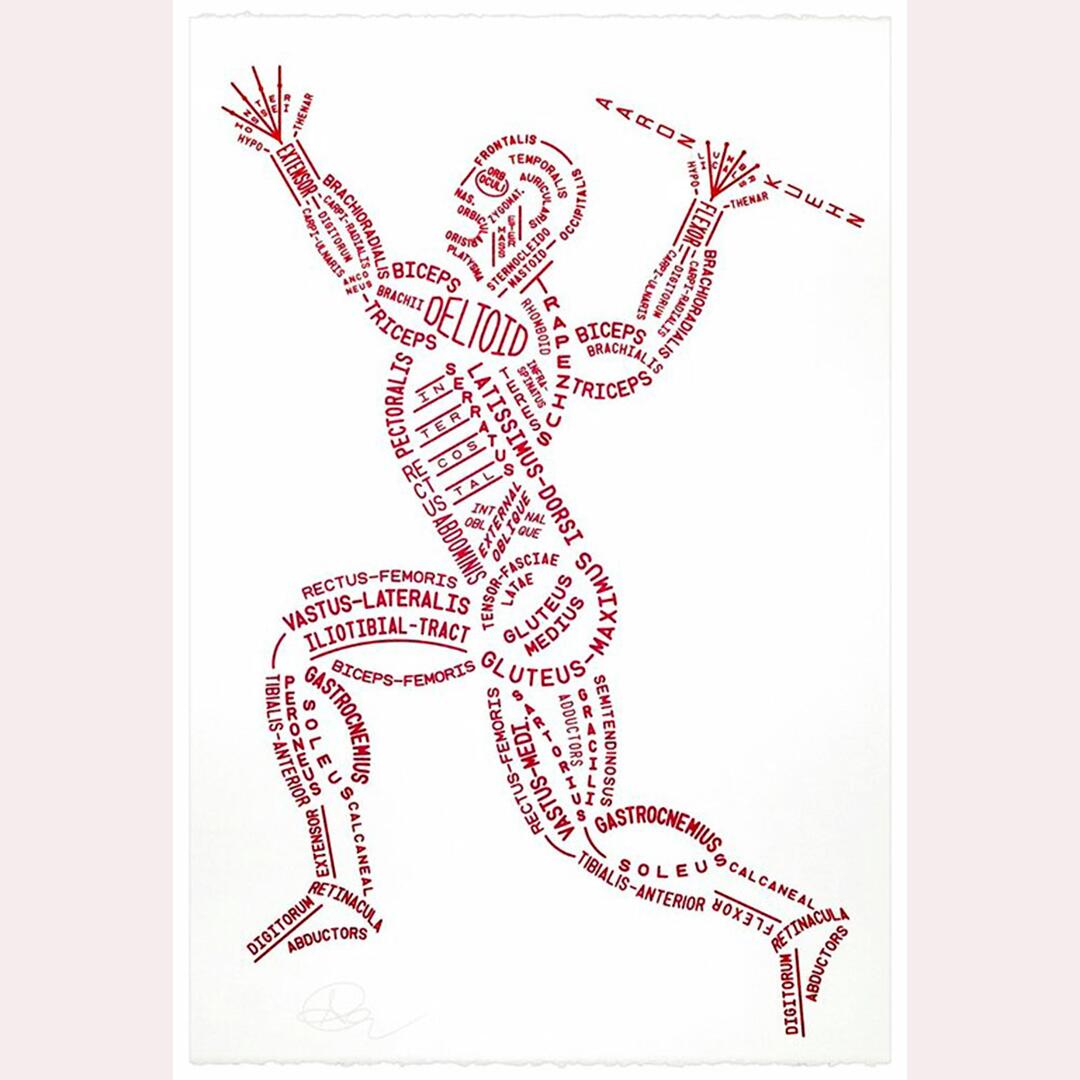 Muscle Diagram by name and location