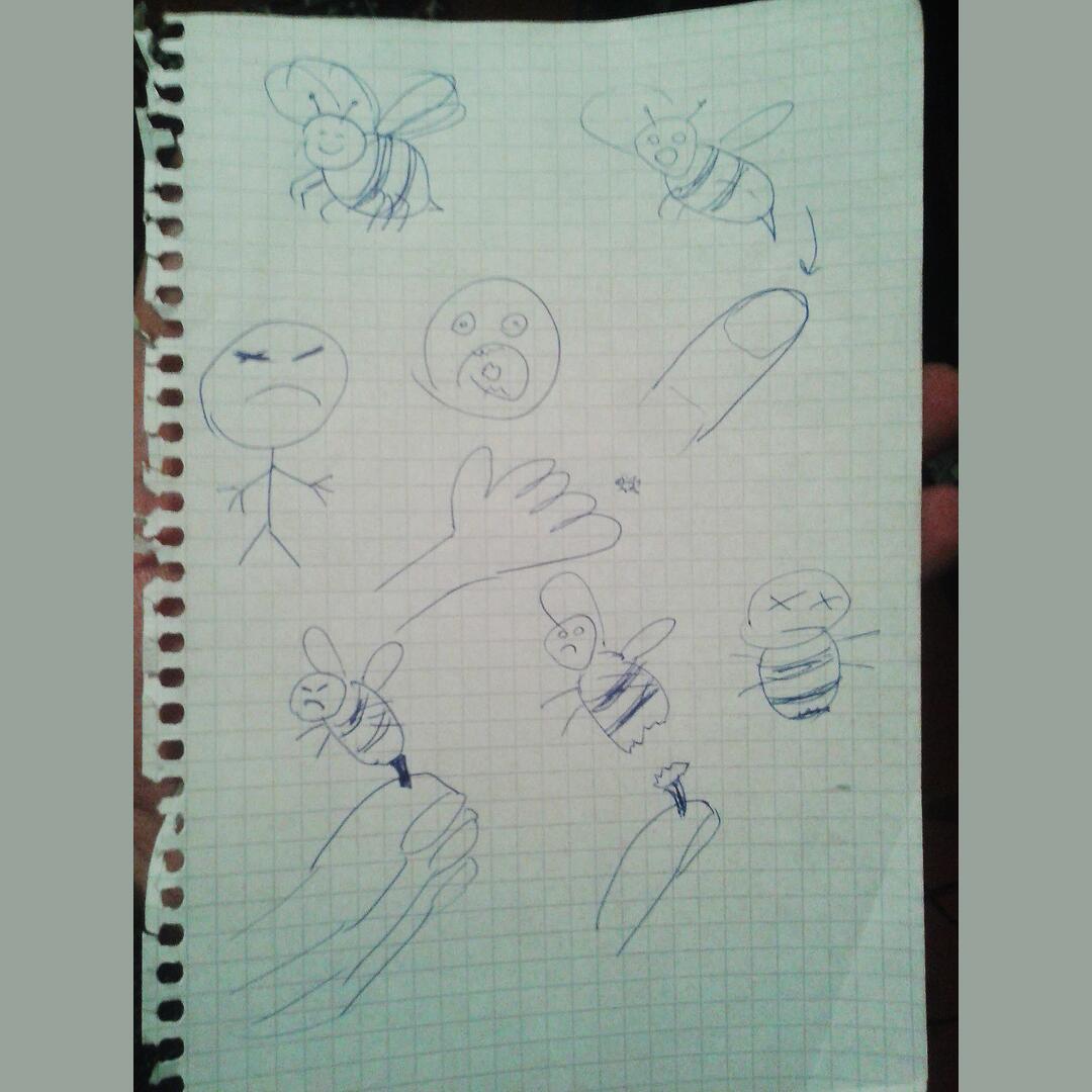 Instruction in pictures for my 4 year old son: Why you shouldn t bother bees