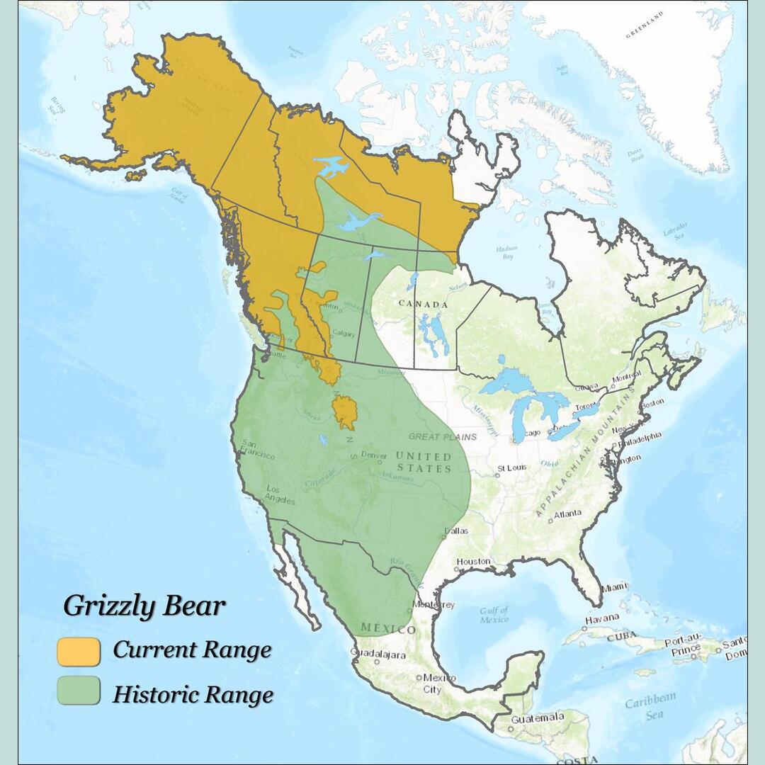 Grizzly Bear habitat changes over time