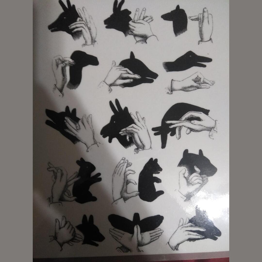 Someone said this subreddit would like this. It s a thing to make shadow puppets