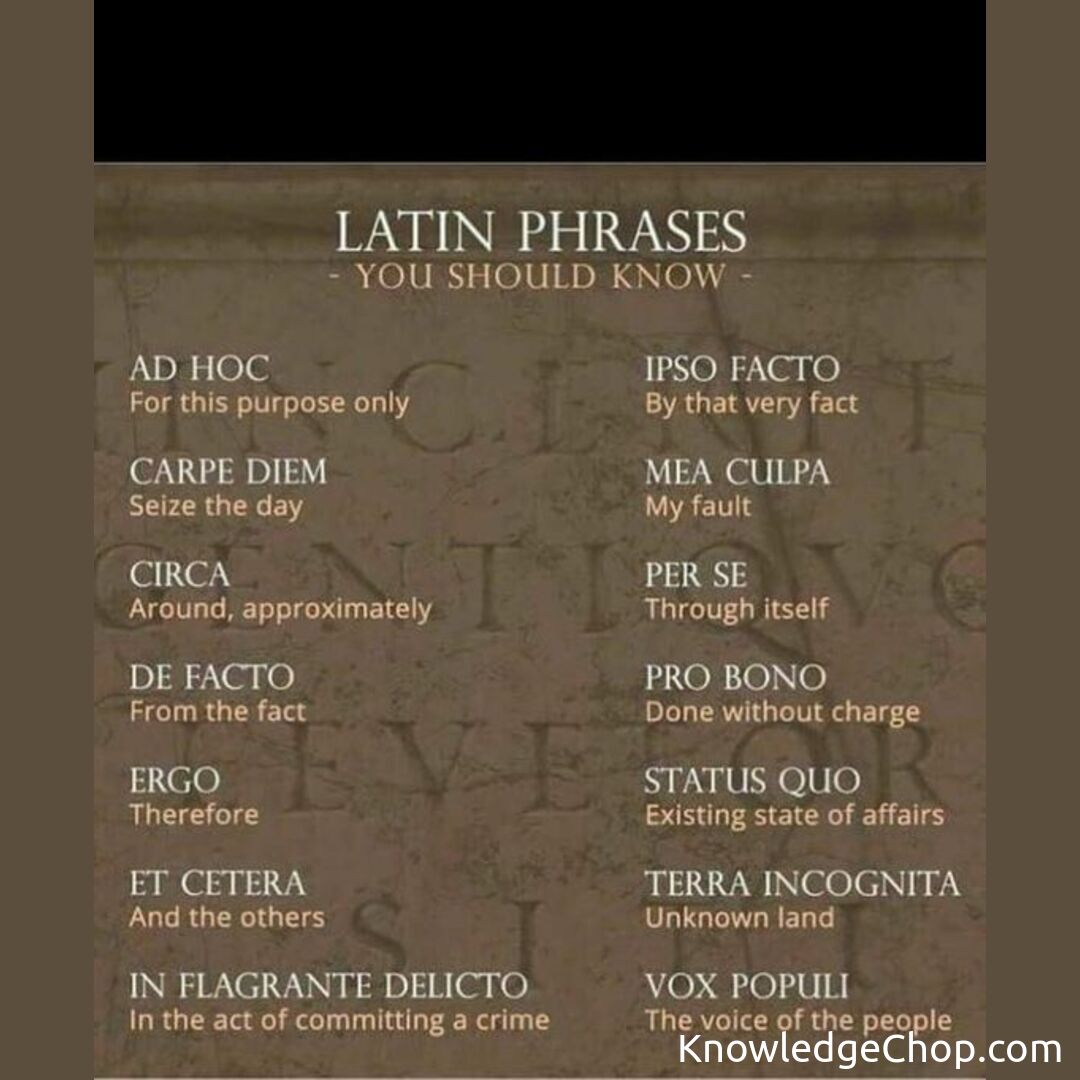 Latin Phrases You Should Know Knowledge Ninja